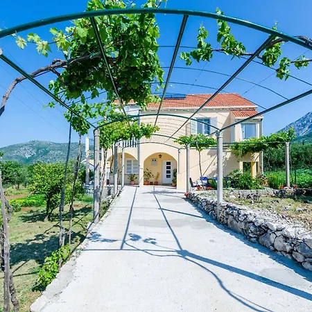 Appartement & Mazdin